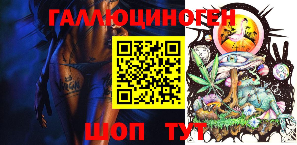 Псилоцибиновые грибы Psilocybe Михайловск